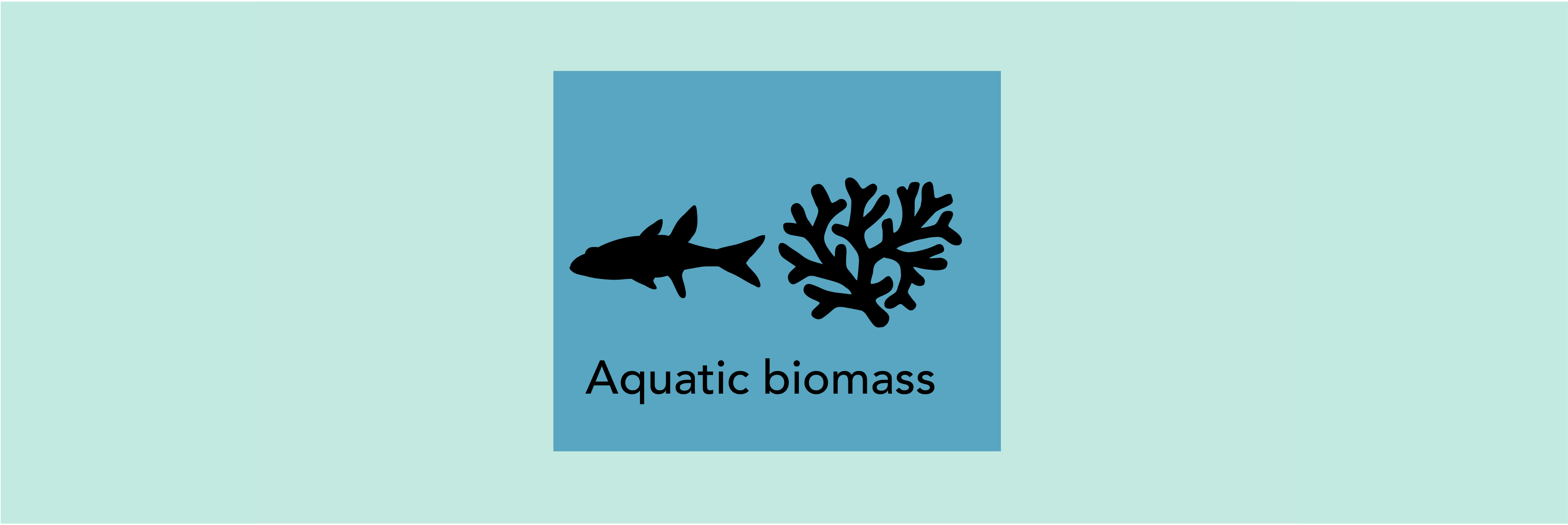 Symbolbild Aquatische Biomasse
